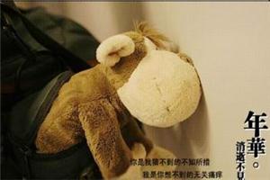 梦里梦见的人，醒来根本不应该去见他