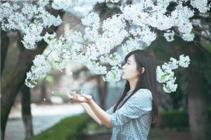 突然，我想结婚了……