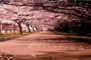 【计划虽易，出发不易，且行且珍惜】