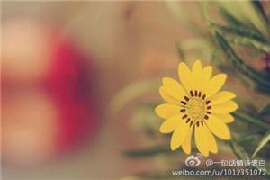 迷茫时就读读这8句话