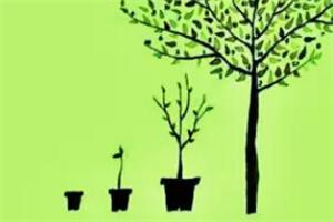 心理教育和心理咨询的差别 ，测试一下你在做哪方面