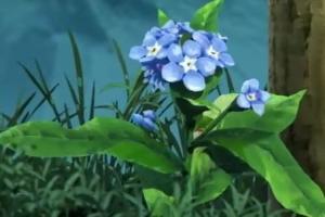 张德芬： 取舍之间，记得把自己放在第一位