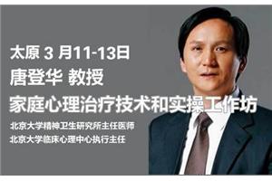 唐登华讲家庭心理治疗