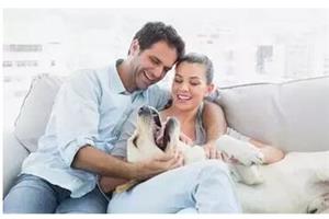 【心友网】精华：心理咨询师基础心理学考前重点归纳