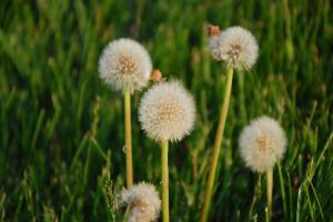 叙事疗法：凡事都有例外，有例外就能解决问题