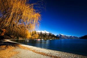 催眠｜（推荐）父母是孩子最好的催眠师