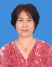 宋晓辉老总_宋晓辉个人简介